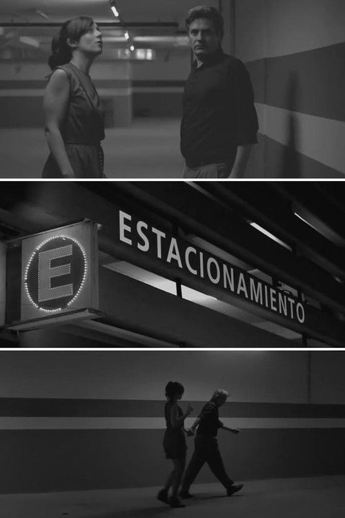 Estacionamiento (2014) poster