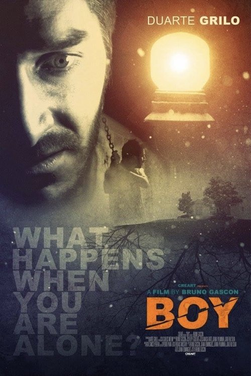 Boy (2014) poster