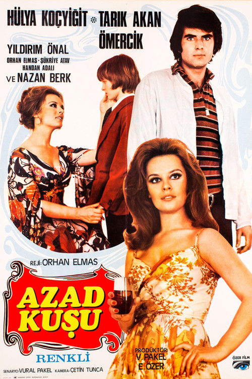 Azad Kuşu (1972) poster