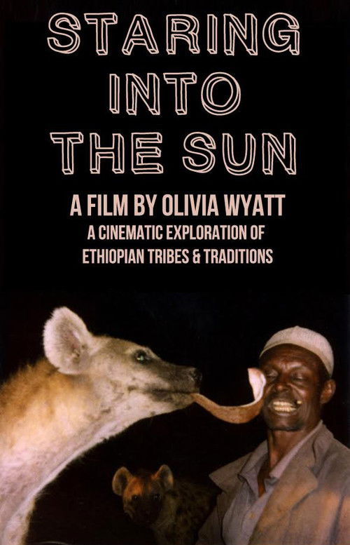 Staring Into the Sun (2010) poster