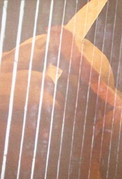 page_214 (2005) poster