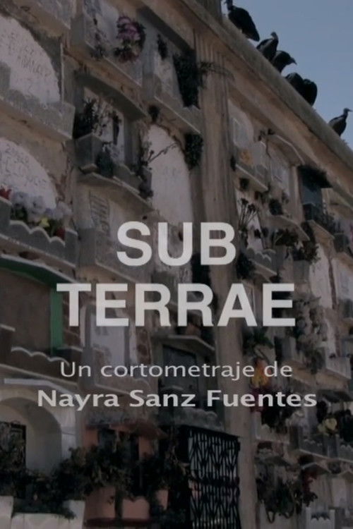 Sub Terrae (2017) poster