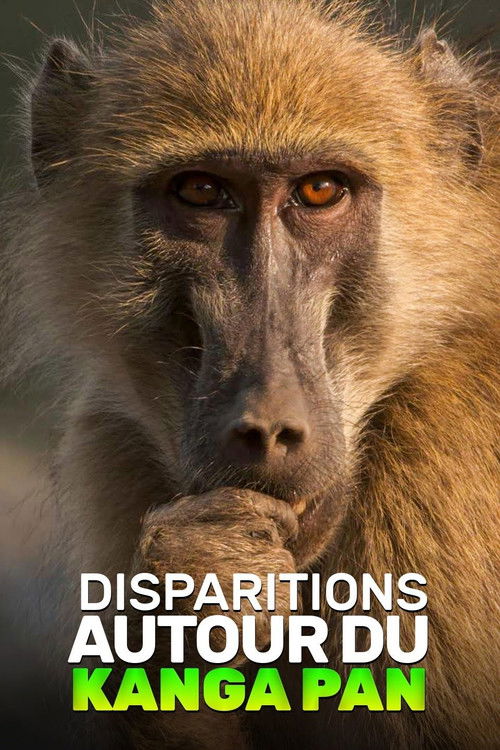 Disparitions autour du Kanga Pan (2019) poster