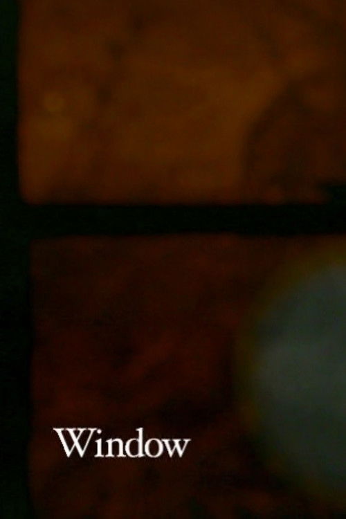 Window (2001) poster
