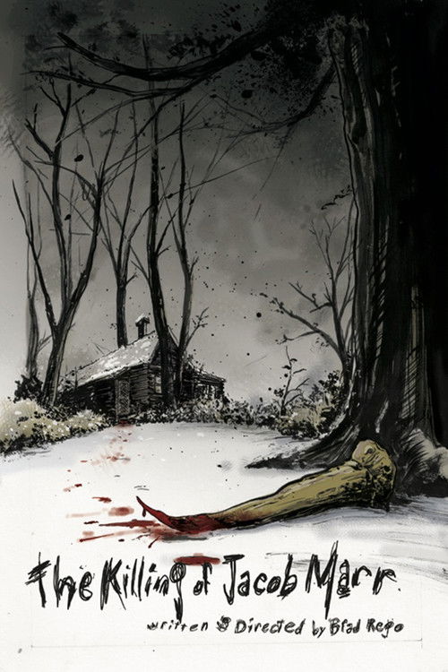 The Killing of Jacob Marr (2010) poster