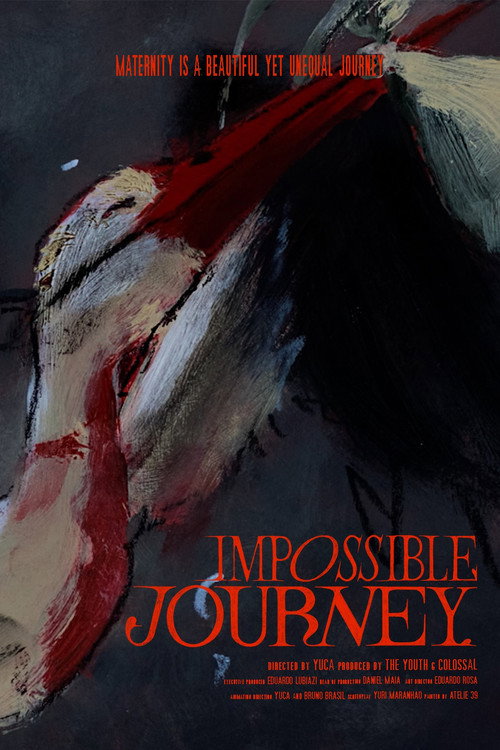 Impossible Journey (2024) poster