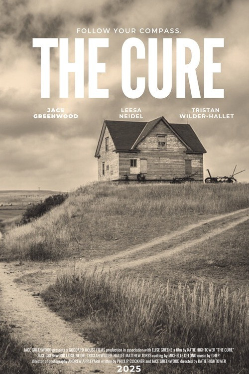 The Cure (2025) poster