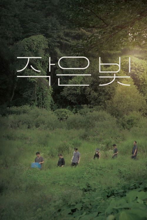 Tiny Light (2020) poster