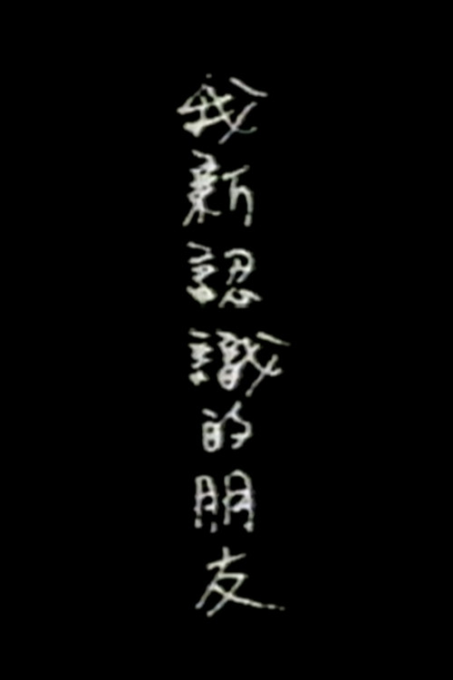 My New Friends (1995) poster