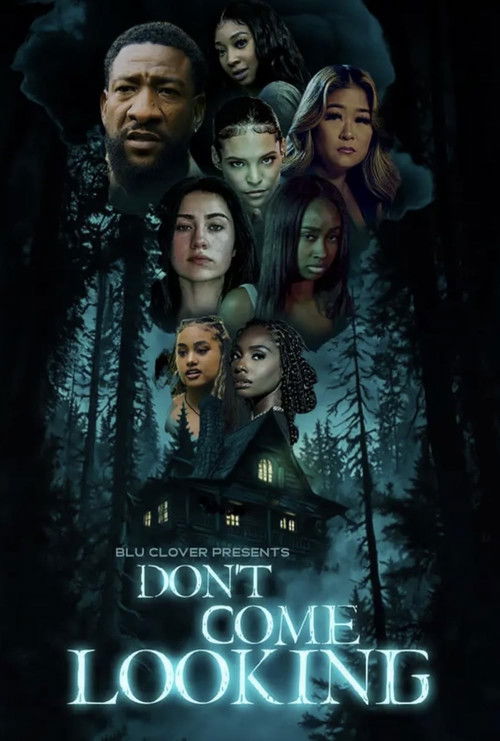 Don't Come Looking (2025) poster