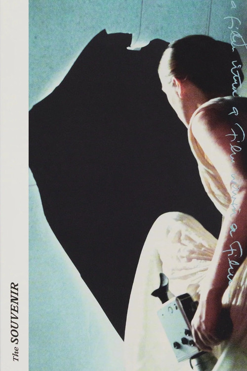 The Souvenir: Reality / Fiction / Confusion / Inspiration (2022) poster