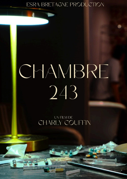 Chambre 243 (2024) poster