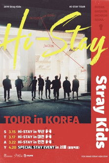 Stray Kids HI-STAY TOUR FINALE IN SEOUL (2019) poster