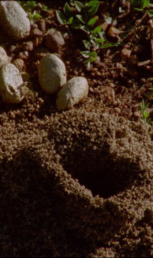 Y Bera : Aguas de Luz (2016) poster