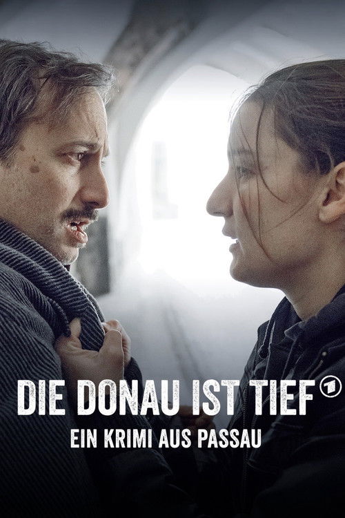 Die Donau ist tief - Ein Krimi aus Passau (2020) poster