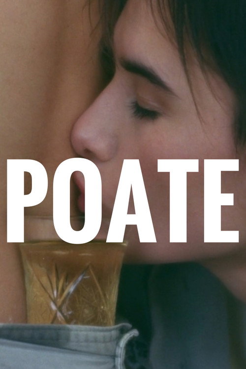 Poate (1993) poster
