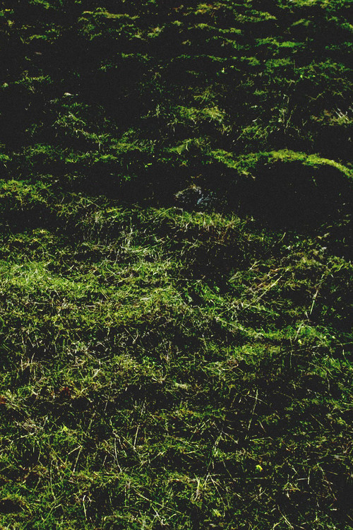 Untitled / Aubrac (2016) poster