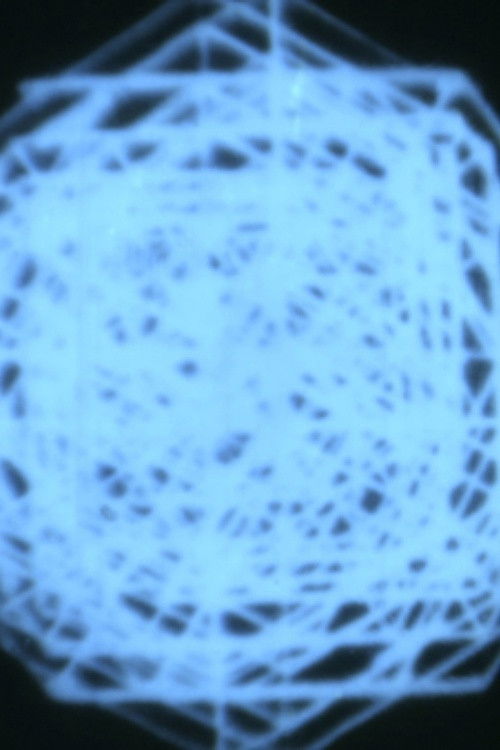 broken symmetry (2019) poster