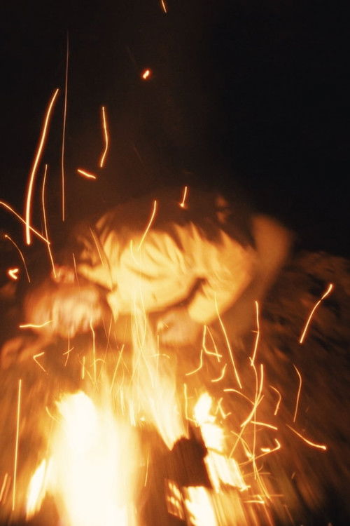 Mycélium (2025) poster