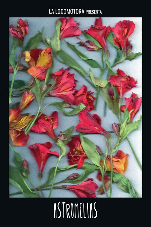 Astromelias (2025) poster