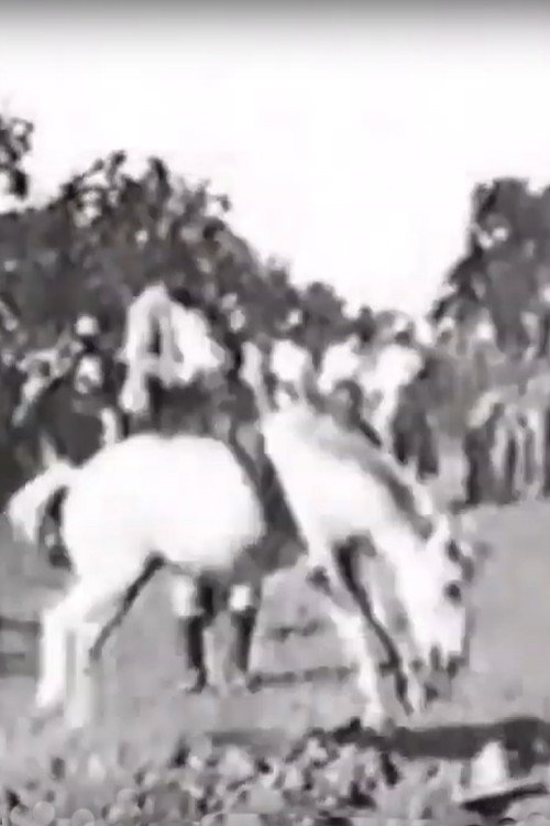 Cavalier sur un cheval rétif (1896) poster