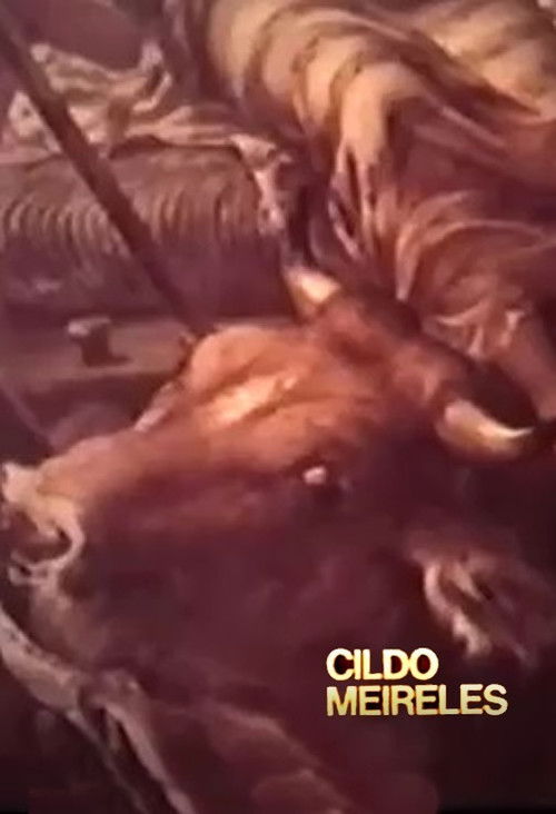 Cildo Meireles (1979) poster