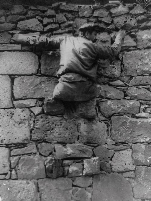 ათასის ფასად (1925) poster