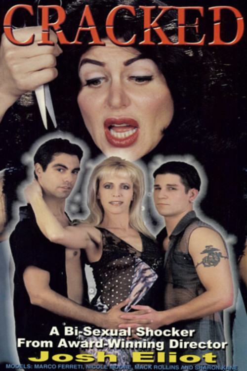 Cracked (2001) poster