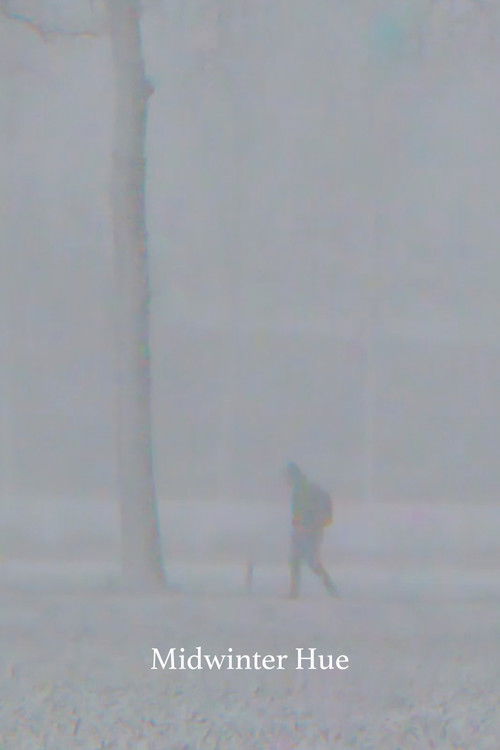 Midwinter Hue (2017) poster