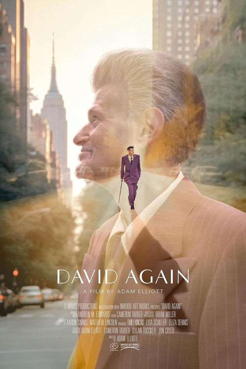 David Again (2024) poster