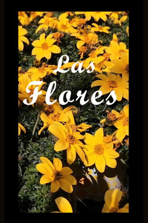 The Flowers (2022) poster