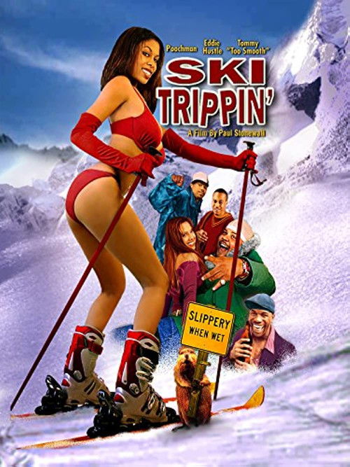 Ski Trippin' (2005) poster