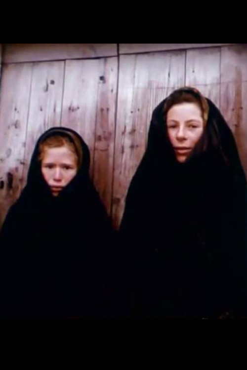 Entremês Famoso Sobre a Pesca no Rio Minho (1974) poster