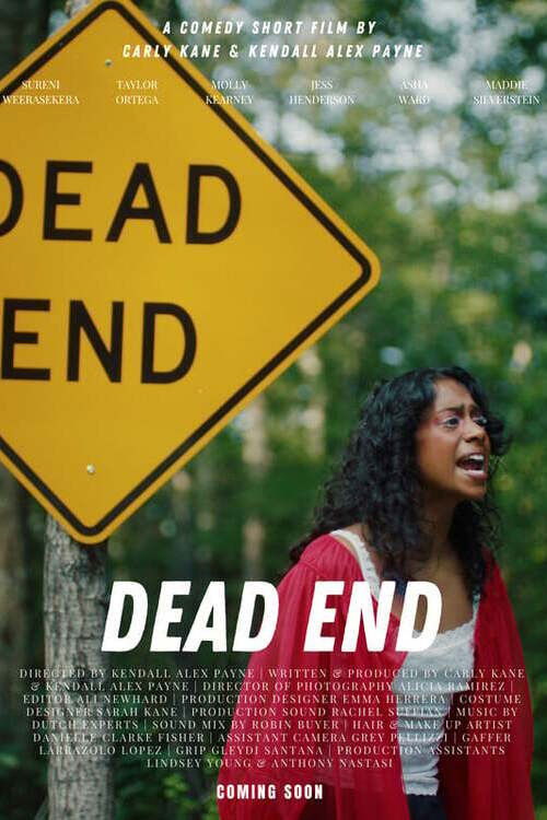 Dead End (2025) poster