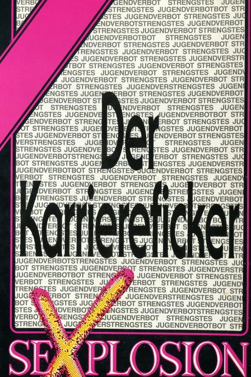 Der Karriereficker (1991) poster