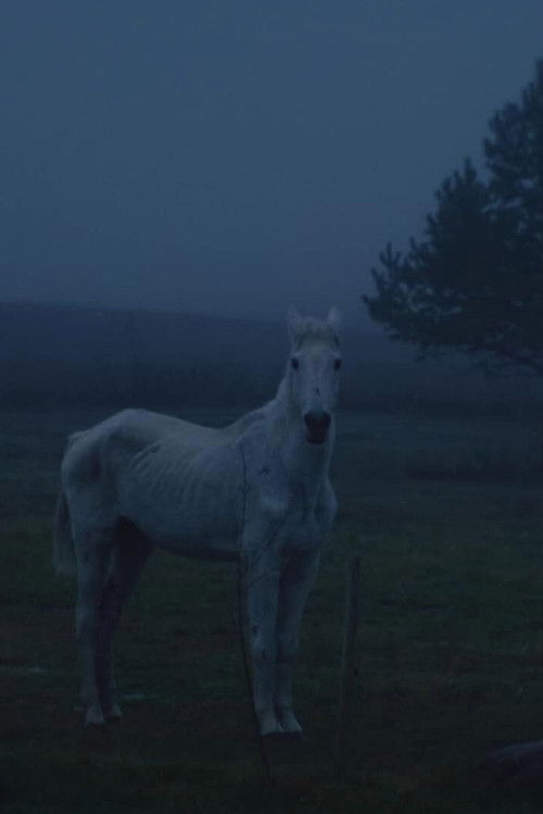 Valley (2023) poster