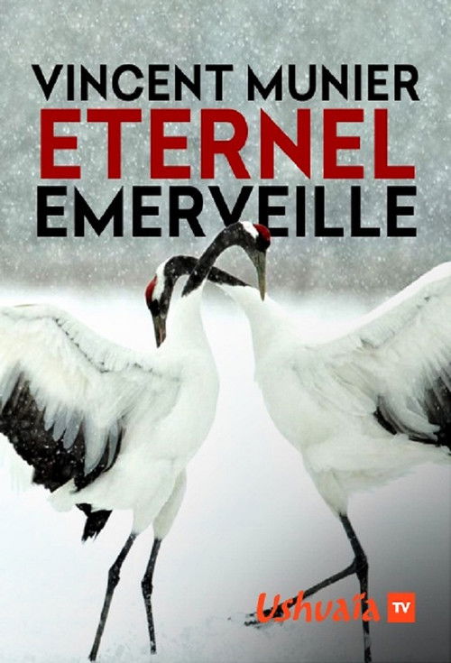 Vincent Munier, éternel émerveillé (2019) poster