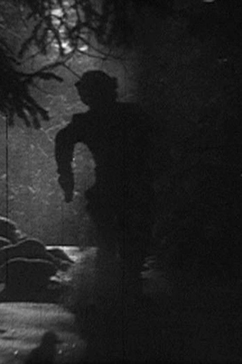 False Friends (2007) poster