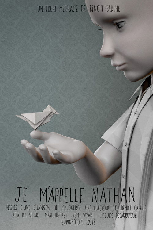 My Name Is Nathan (2012) poster