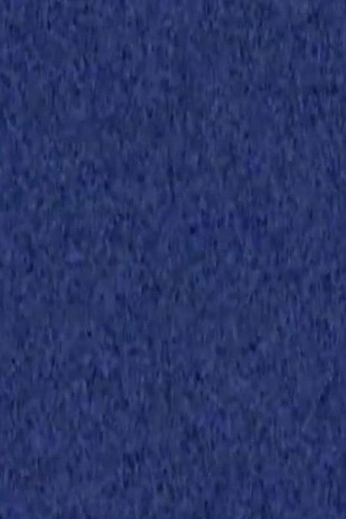 It Would Have Been Fantastic (2009) poster