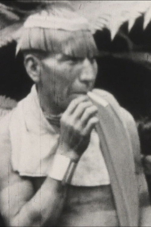 Criss Cross (1965) poster