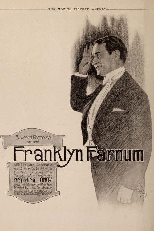 Anything Once (1917) poster