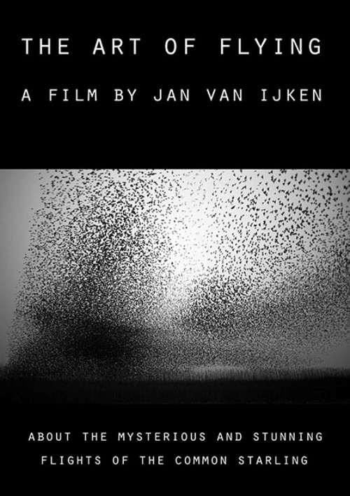 The Art of Flying (2015) poster