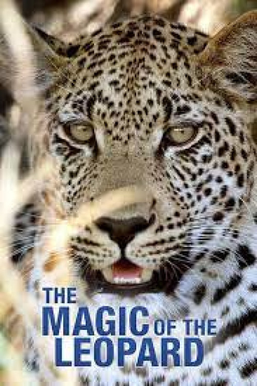 The Magic of the Leopard (2012) poster