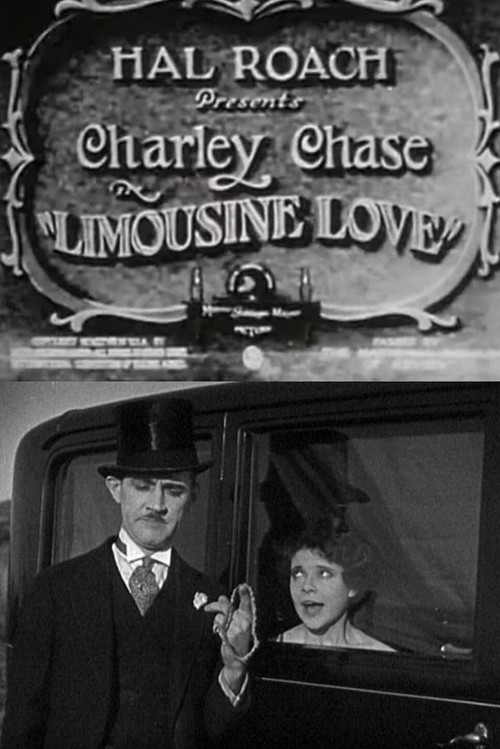 Limousine Love (1928) poster