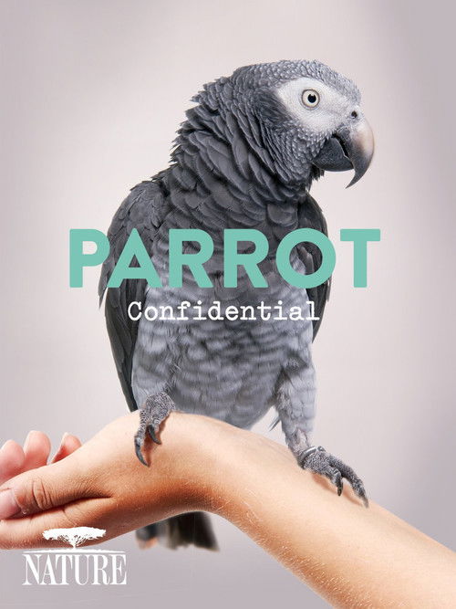 Parrot Confidential (2013) poster