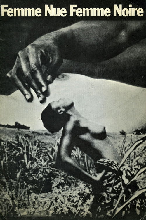 Take Care France (1970) poster