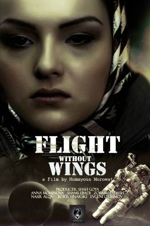 Flight Without Wings (2014) poster