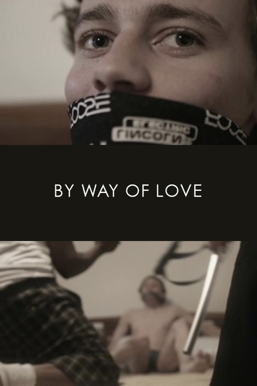 By Way of Love (2013) poster