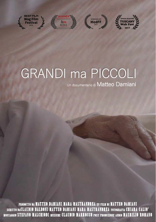 Grandi ma piccoli (2017) poster